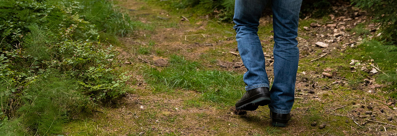 Wanderungen rund um Bad Berka