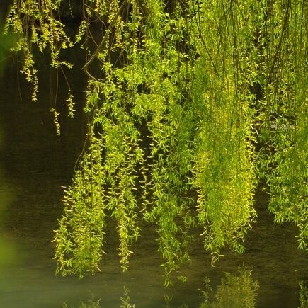 Trauerfall in Bad Berka