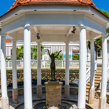 Wasser Luft Goethes Geist