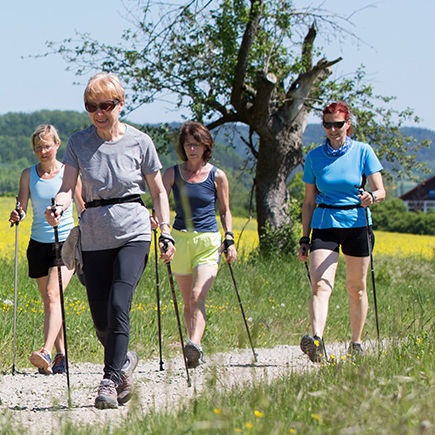 FIT MIT NORDIC WALKING