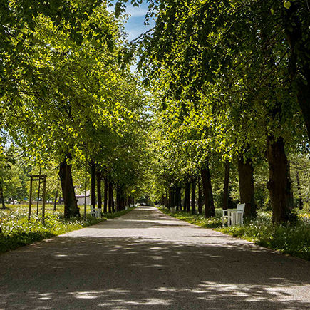 Radwege in Bad Berka