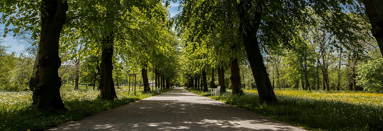 Radwege in Bad Berka